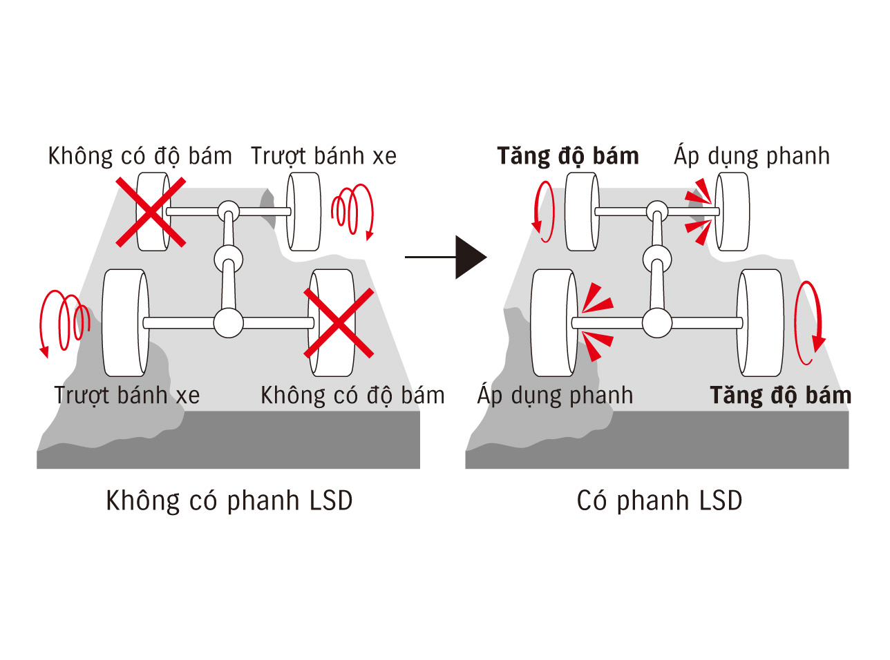 Phanh giả lập vi sai hạn chế trượt LSD